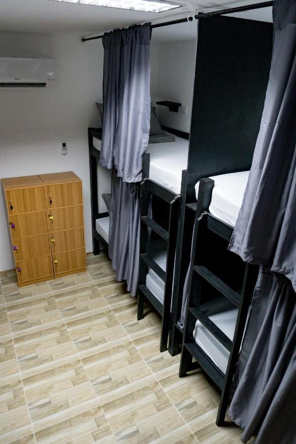Crazy Bears Hostel Moalboal Kültér fotó